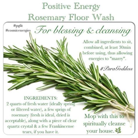Rosemary magicl properties